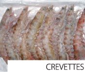 Shrimps