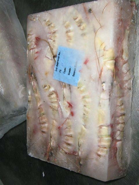 Frezen Shrimp