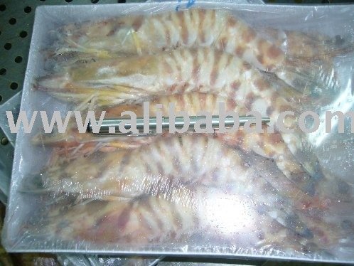 Frozen Prawn