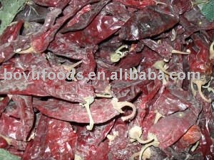sweet paprika pods