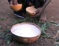 palm wine