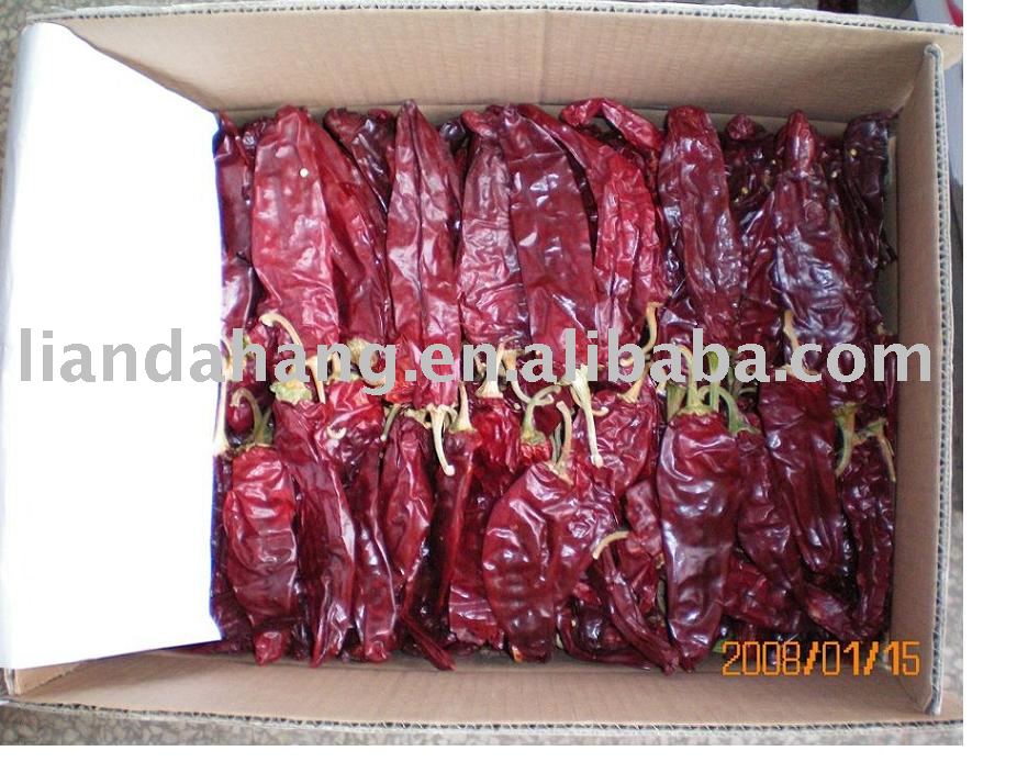  RED  CHILE  PEPPER 
