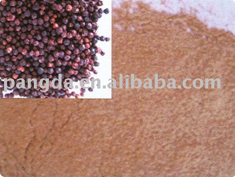condiment-black pepper powder
