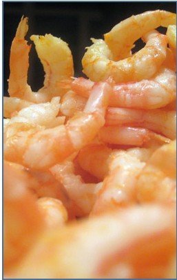 Cooked & Peeled prawns