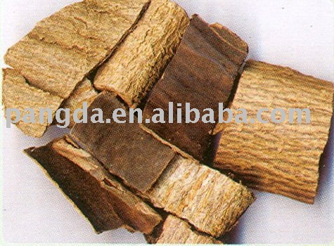  Eucommia   ulmoides 