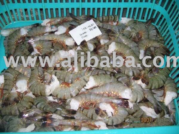 Black Tiger Shrimps HLSO