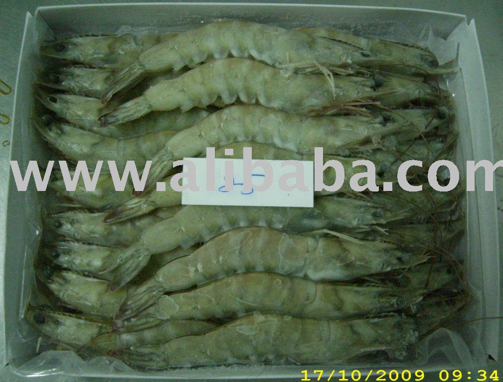White Vannamei Shrimp HOSO 25 Count - 500 GM