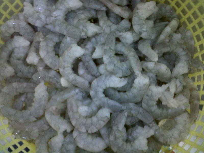 White Shrimp