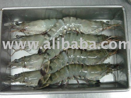 Black Tiger Shrimp, Vannamei, Lobster, Fishes, Cuttlefish, Octopus, Squid, Seafoodmix, Seafood in sk