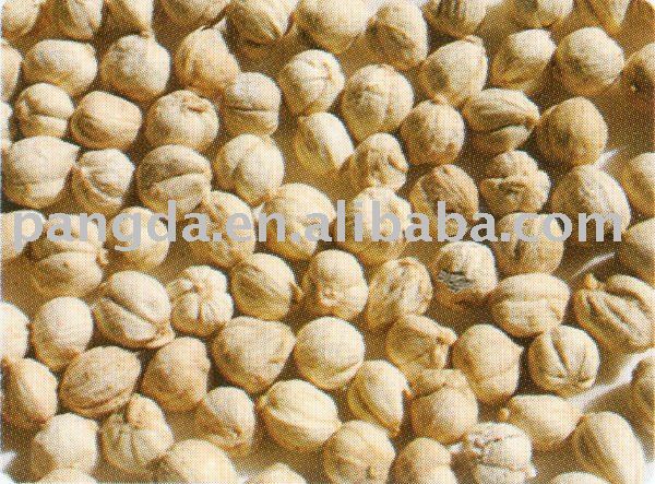 spice-round  cardamom 