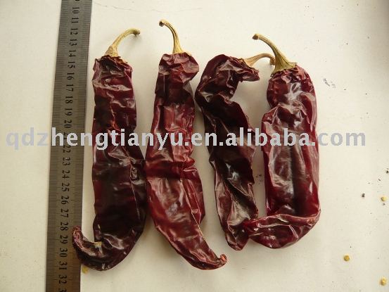 Dry paprika pods