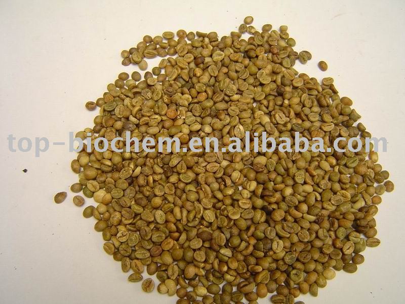  Green   coffee   Powder   Extract 
