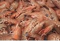 Southern King Prawns