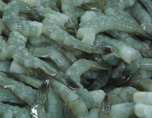 Frozen Raw Peeled Deveined (cut devein) Tail On Vannamei Shrimp