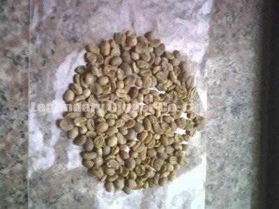 Wholesale Green coffee bean