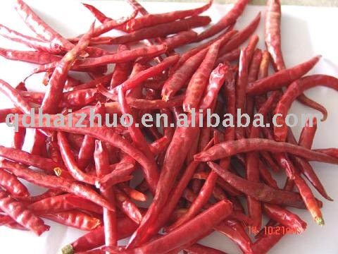  Arbol   Chilli 