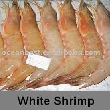 Whole White Shrimp