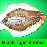 Whole Black Tiger Shrimp