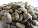 green coffee bean