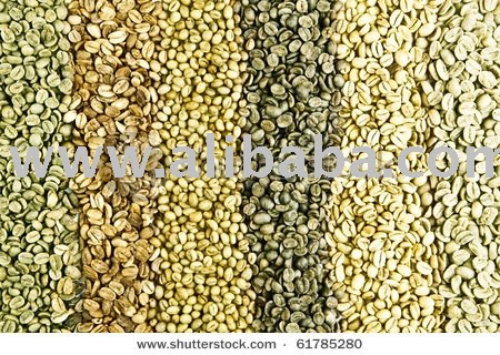 Dried Robusta coffee beans
