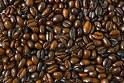 LIBERICA COFFEE