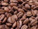 Organic Fair Trade Coffee