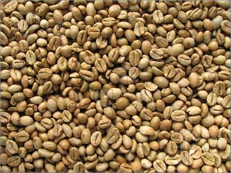 Grade A Green Robusta coffee