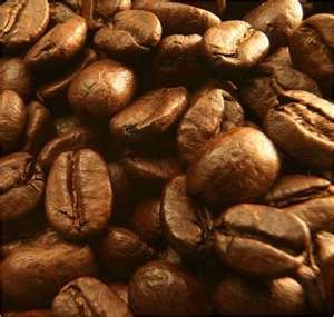 High quality coffee beans for sale