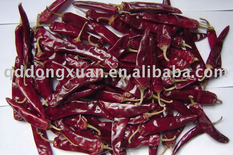 2010 JINTA CHILLI WITH STEM