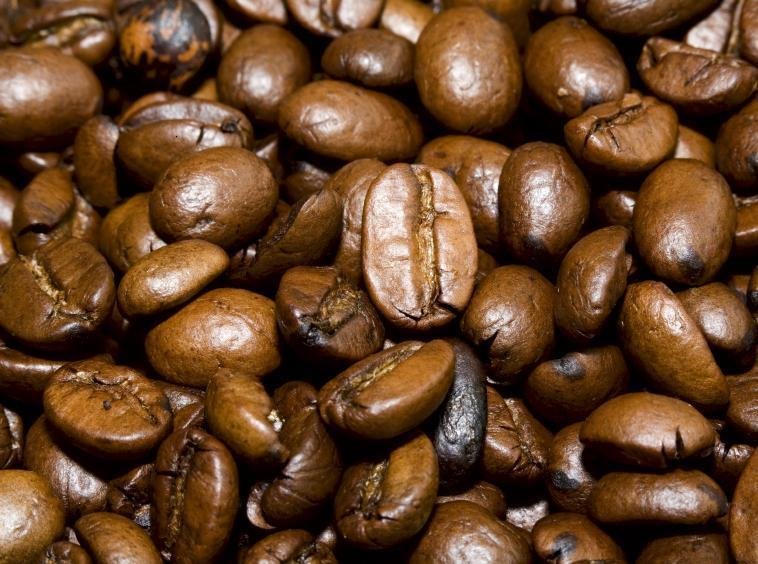 Coffee Seeds products,Cameroon Coffee Seeds supplier