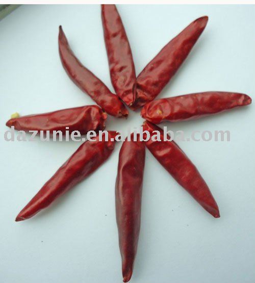  Guntur   red   chilli 