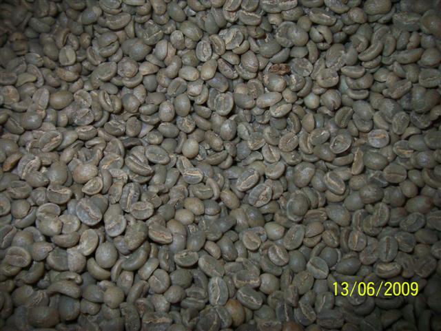 coffee beans