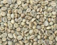 arabica  java   coffee  bean