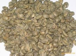 Robusta coffee been
