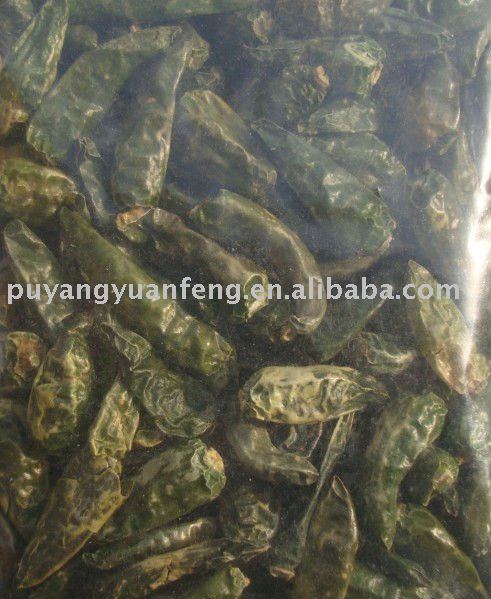 chinese green pepper