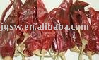 AMERICAN red chilli