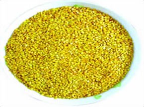 NATURAL  SPICY  GOLDEN    CHILLI   Paprika  Seed