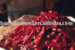 2010 Dried Chilli