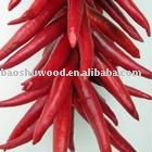 2010 New Fresh Chilli