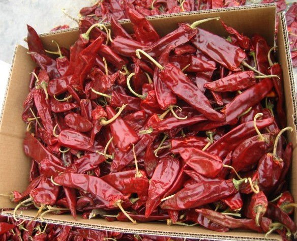  Dried   Yidu   Chilli 