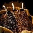 Arabic coffee,Rubusta.