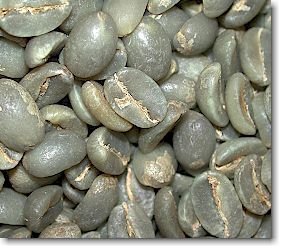 Quality Green arabica coffee beans