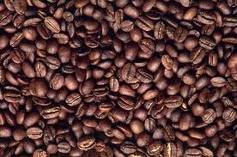pure high quality coffee bean for export