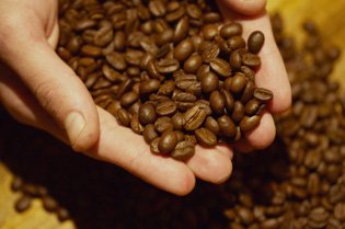 Coffee Beans