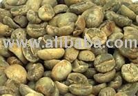 Arabica  Green   bean 