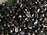 Coffee Beans - Organic Mexican Decaf