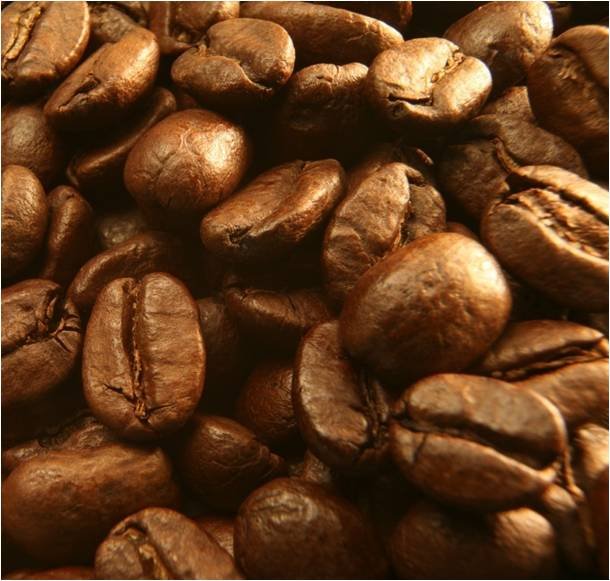 coffee beans for sale