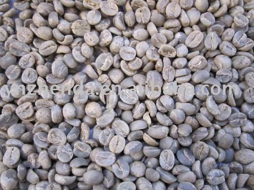 arabica green coffee beans products