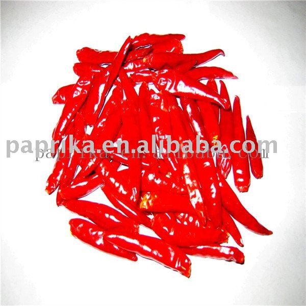 RED CHILLI  HOT