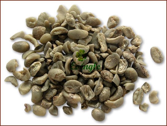 Green Coffee Beans/Arabica-Catimor/High Quality